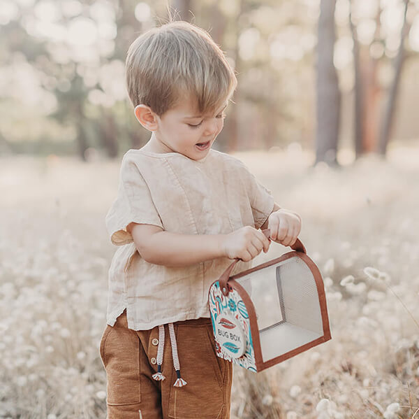 Bug Box with Accessories