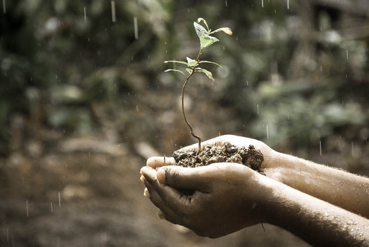 Nurturing Growth Naturally