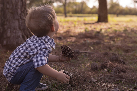 Why It Is Important for Children to Explore Nature and All Its Wonders