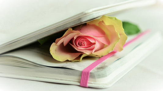 Unlocking Childhood Potential: How Poetry Shapes Minds and Hearts