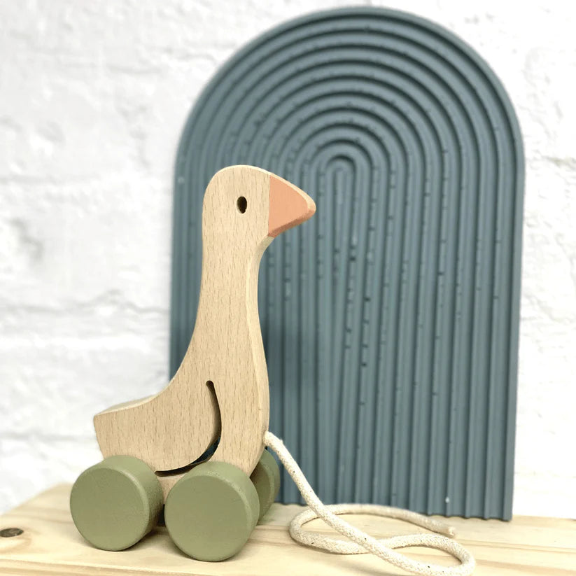 Little Goose Pull Along Toy