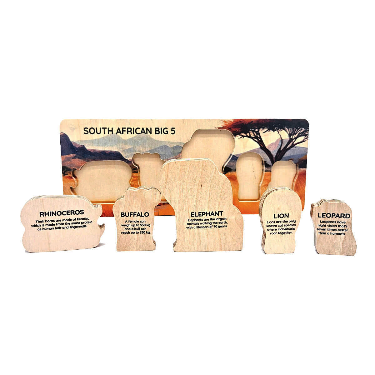 Big 5 Wooden Baby Puzzle