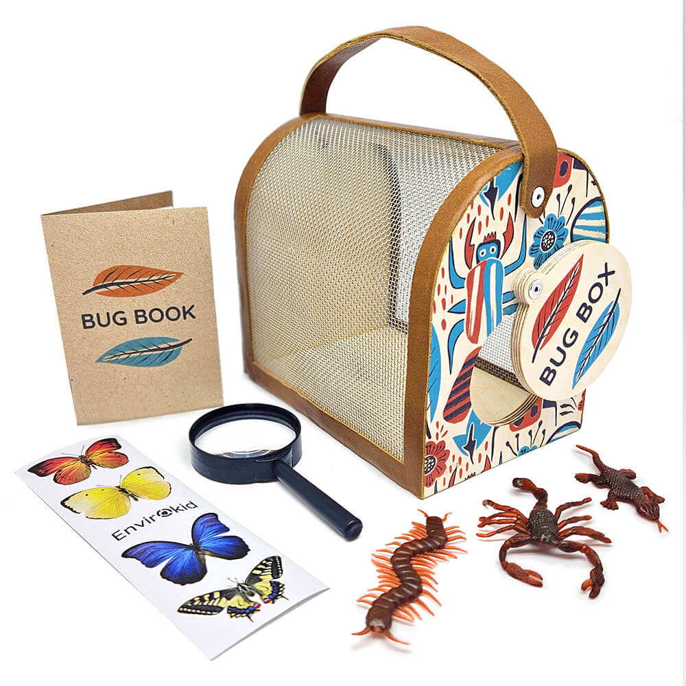 Bug Box with Accessories – EngelKind