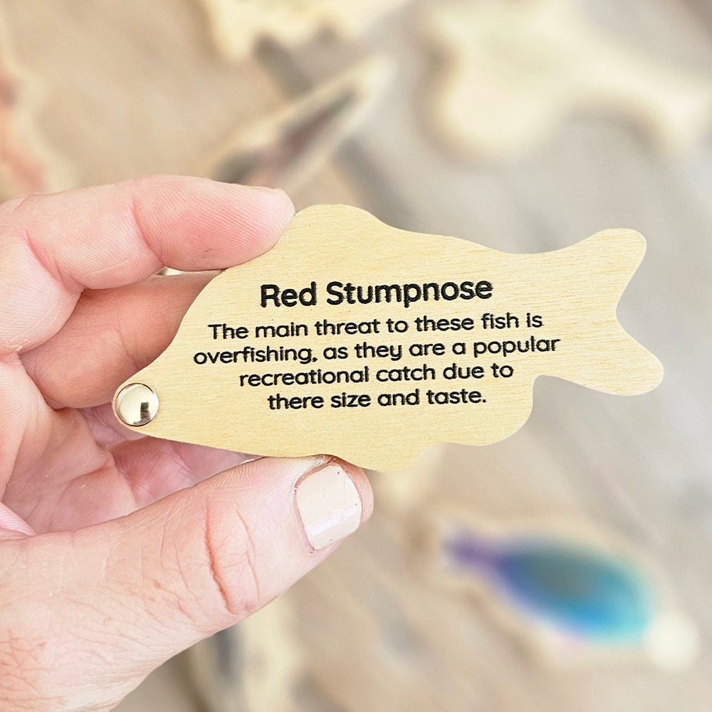 Wooden Fishing Game