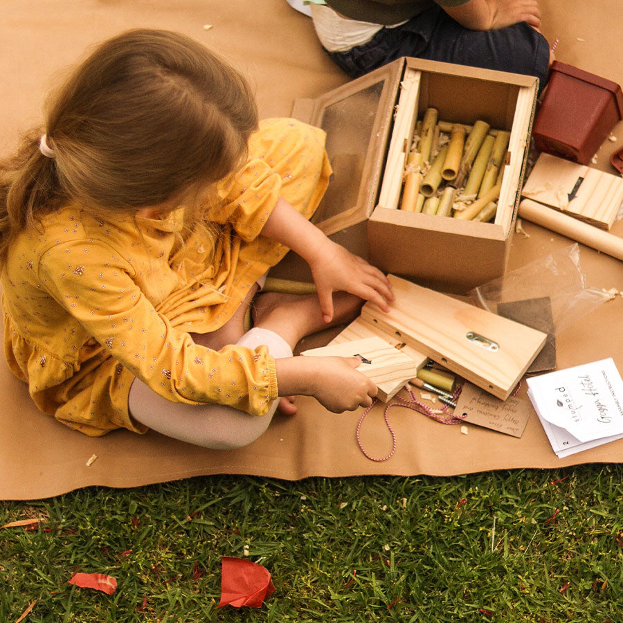 Gogga (Insect) Hotel Kit